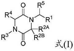 Figure DDA0003027264040000011