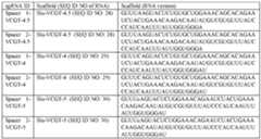 Figure imgf000031_0001