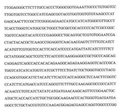 Figure 109103078-A0101-12-0080-6