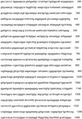 Figure IDA0002935257620000561