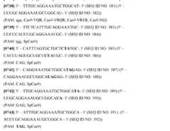 Figure imgf000306_0002