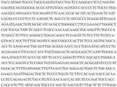 Figure BDA0003658655810002883