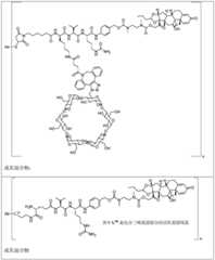 Figure FDA0002889616210000381