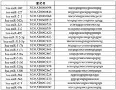 Figure BDA0003722775960000741