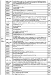 Figure imgf000148_0001