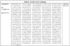 Figure imgf000111_0002