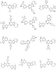 Figure BDA0001402557760000221