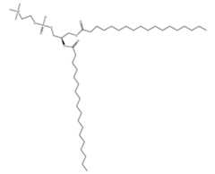 Figure imgf000023_0001