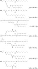 Figure BDA0001702061020001401