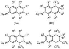 Figure imgf000011_0001