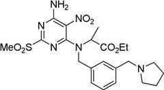 Figure BDA0000075082050001634