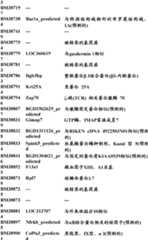 Figure BDA0000057170160001351