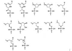 Figure 110128808-A0202-12-0057-336