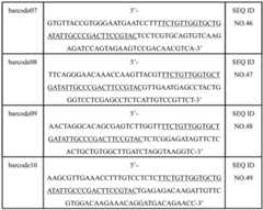 Figure BDA0002443630410000171
