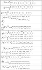 Figure imgf000046_0001
