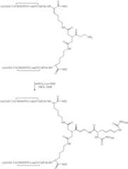 Figure US07906485-20110315-C00094