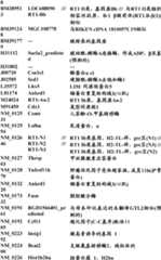 Figure BDA0000057170160001841