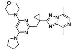 Figure JPOXMLDOC01-appb-C000211