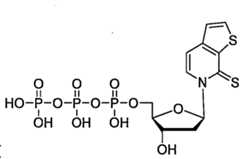 Figure 109130857-A0202-12-0282-337