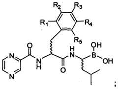 Figure imgf000112_0001