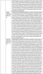 Figure BDA0004033970230005831