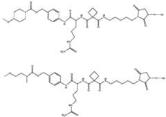 Figure imgf000314_0003