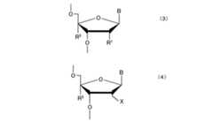 Figure 0007016170000006