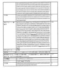 Figure 0007438604000078