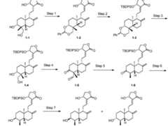 Figure imgf000056_0001