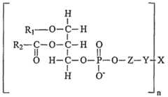 Figure imgf000051_0001