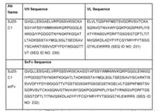 Figure imgf000137_0001