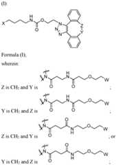 Figure imgf000007_0001