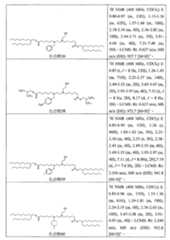 Figure 111101514-A0305-12-0229-145