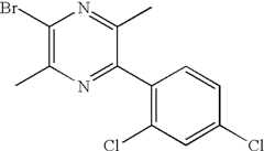 Figure US06992087-20060131-C00310