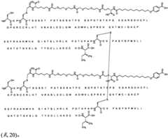 Figure BPA0000281274980000921