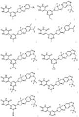 Figure imgf000161_0001