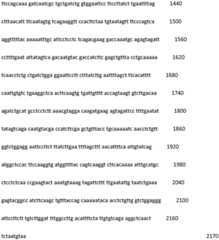 Figure IDA0002188388310000491