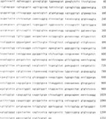 Figure A200780018204D00922