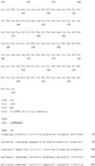 Figure IDA0002581779080001521