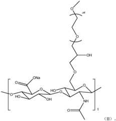 Figure PCTCN2023071208-appb-100002