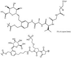 Figure imgf000161_0001
