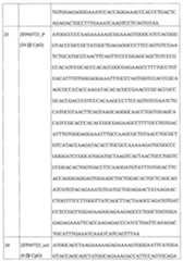 Figure 113124401-A0202-12-0058-19