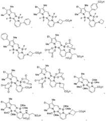 Figure 2024516191000070