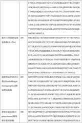 Figure BDA0004113681710000781