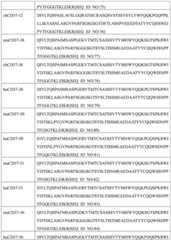 Figure GDA0002332994560000331