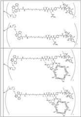 Figure BDA0002889616220001431