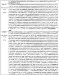 Figure imgf000188_0001