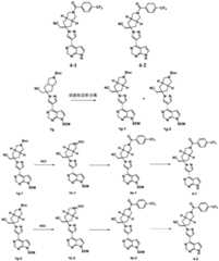 Figure BDA0002319666810000241