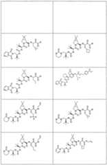 Figure imgf000285_0001