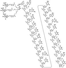 Figure BDA0003018192690002541